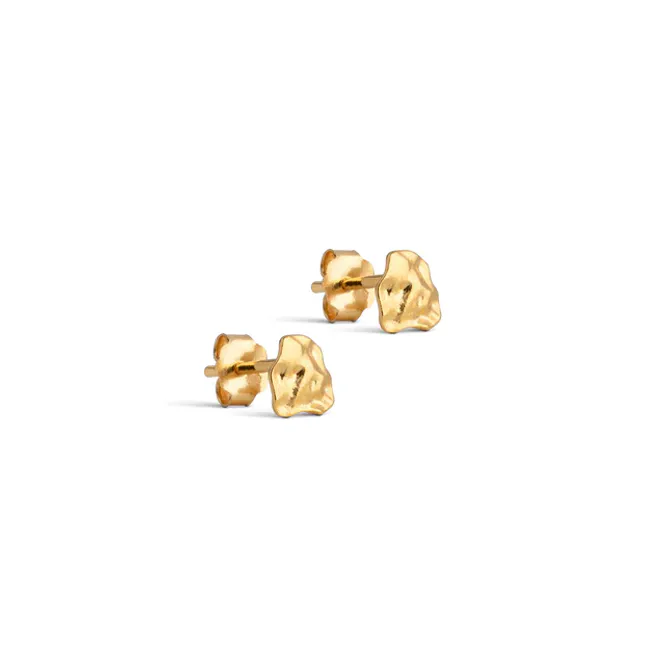 Hovedbilde Rio, Studs